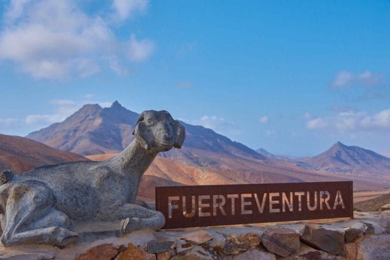 11 Interesting facts about Fuerteventura
